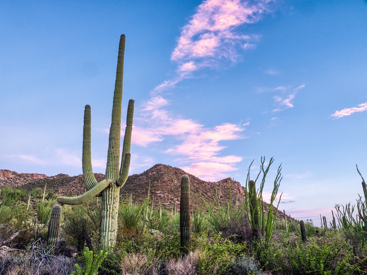 Sunset in Arizona